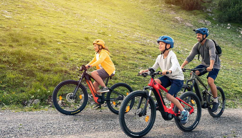 Exploring the World of eBikes with Bosch Motors