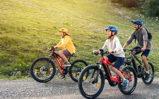 Exploring the World of eBikes with Bosch Motors