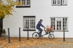 Ridgeback Butcher E-Cargo bike
